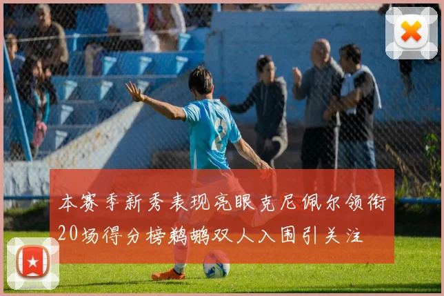 本赛季新秀表现亮眼克尼佩尔领衔20场得分榜鹈鹕双人入围引关注