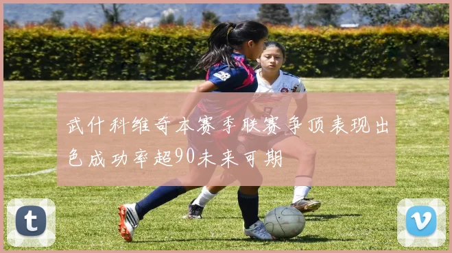 武什科维奇本赛季联赛争顶表现出色成功率超90未来可期