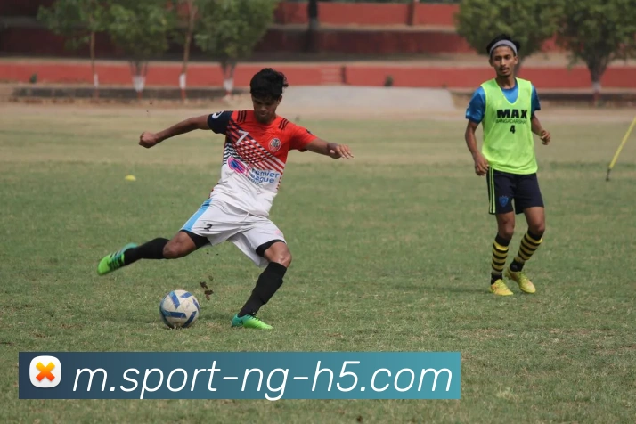 南宫体育平台生态图